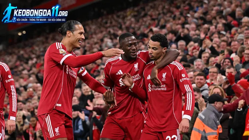 thuc luc va phong do truoc tran cua liverpool vs brighton