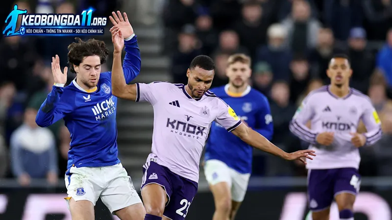 thuc luc va phong do truoc tran cua newcastle vs everton 11zon